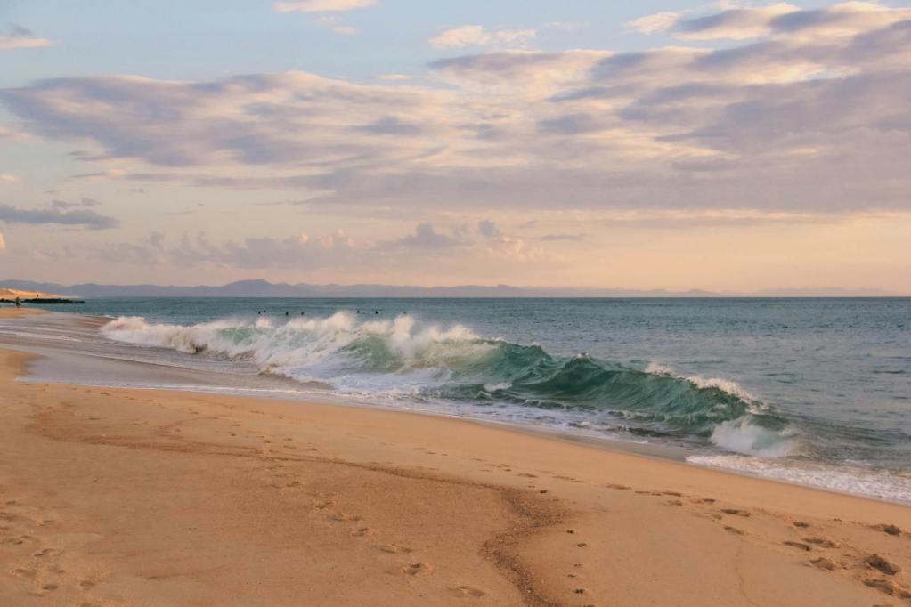 waves on shore